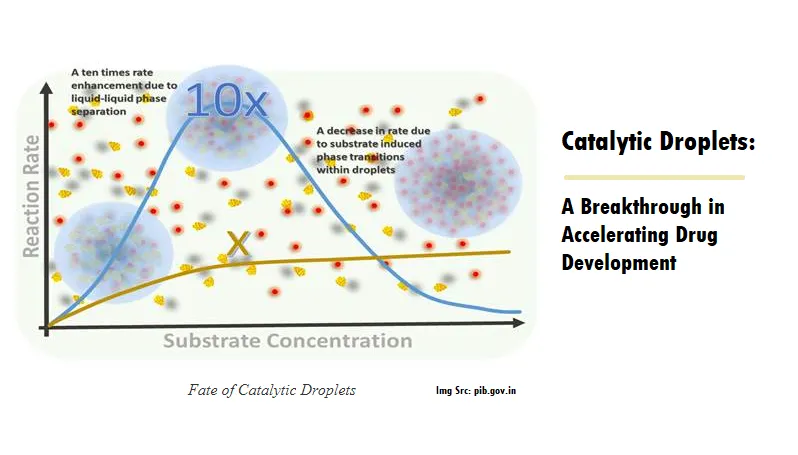 Catalytic Droplets A Breakthrough in Accelerating Drug Development